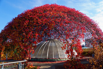 Warsaw, Poland, October 21, 2025: Autumn in roof garden of Warsaw University. Poland
