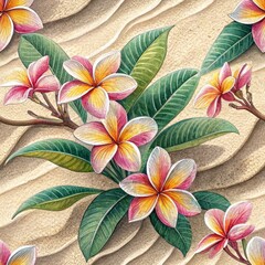  Group of colorful Frangipani flowers on sand background.