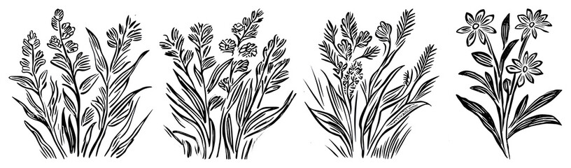 PNG Vintage floral botanical illustration, element set on transparent background