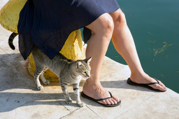 Kefalonia - Greece - August 15, 2025: Argostoli harbor,, Kefalonia,  Greece.