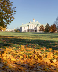 View of Grand Menshikov Palace in Oranienbaum with golden autumn leaves on green lawn under clear blue sky.