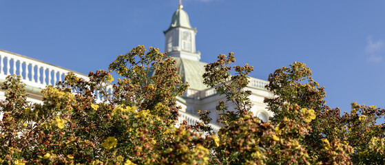 View of the Grand Menshikov Palace in Oranienbaum through flowering bushes on a sunny autumn day under a clear blue sky.