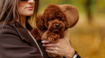 Woman holding a cute brown poodle dog in a warm coat outdoors