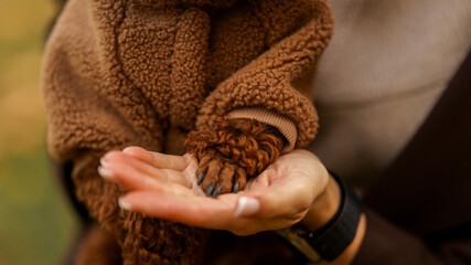 A person holding a dog's paw, showing love and affection
