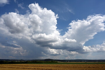 Felder in der Wetterau