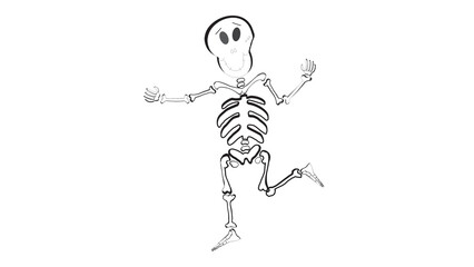 vector illustration of a skeleton