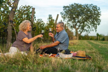 Senior couple enjoying a picnic with wine in a vineyard