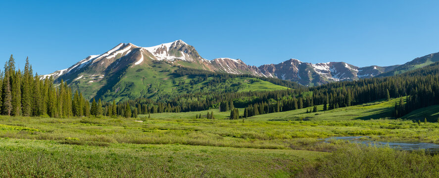 Mount Bellview Panorama