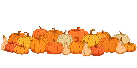 Pumpkin patch vector set. Bunch of autumn pumpkins. Hand drawn pumpkin squash in different colors and shapes.