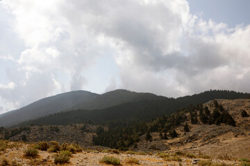 Kefalonia - Greece - August 15, 2025: Mount Ainos National Park, Kefalonia,  Greece.