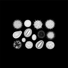 Organ Systems in the Human Body: Types, Parts, and Functions