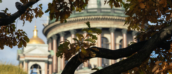 Close-up view of St Isaac’s Cathedral dome partially hidden behind autumn oak tree branches with golden and brown leaves in warm sunlight.