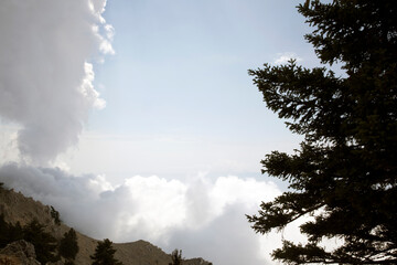 Kefalonia - Greece - August 15, 2025: Mount Ainos National Park, Kefalonia,  Greece.