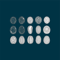 Organ Systems in the Human Body: Types, Parts, and Functions