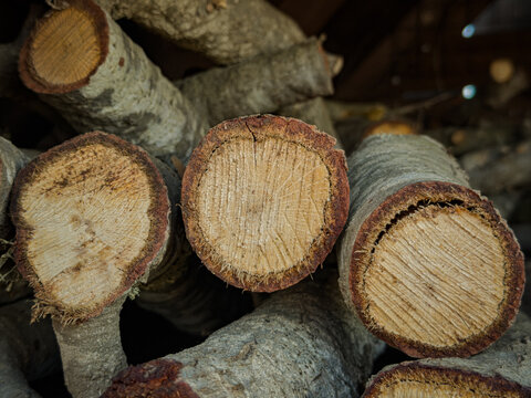 stack of firewood