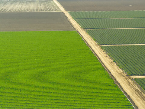 Green and Brown Patchwork Farmland with Dirt Roads