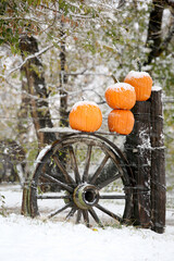 Pumpkins, Snow and Wagon Wheel