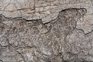 An extreme close-up of a rough, dry rock or concrete surface with fine, intricate cracks. The highly textured background conveys erosion, drought, and geological time