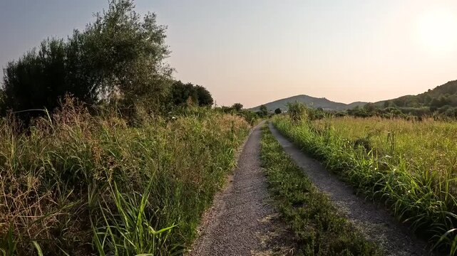 Camino de Sagunto a Santiago - rural road leaving Estivella, comarca of Camp de Morvedre, Valencia, Spain 