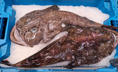 Fresh monkfish chilled on ice at a supermarket display for customers to choose from