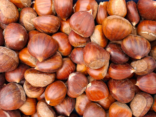 Ripe chestnuts gathered in the autumn harvest with a rich background showcasing their natural beauty