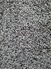 Close-up view of soft gray shag carpet texture in a cozy indoor space