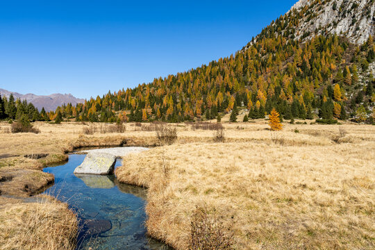 Foliage in Val Camonica in autunno