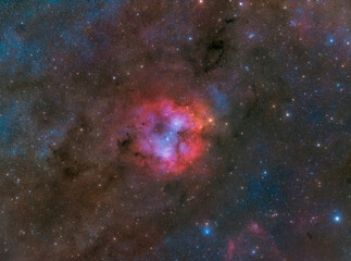 Night Sky with Elephant Trunk Nebula - Night landscape