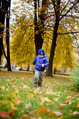 Children playing in the park during autumn