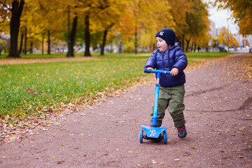 Children playing in an autumn park