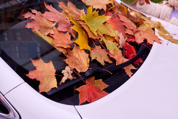 Children playing with leaves in autumn park