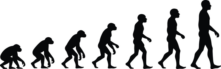 Human Evolution Silhouette Sequence- Primate to Modern Man Depicting Biological Transformation, Upright Posture Development, and Evolutionary Timeline Visualization