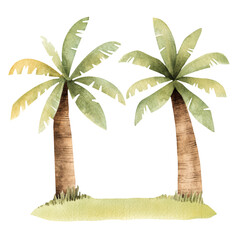 Watercolor illustration of two tropical palm trees, summer beach, exotic nature, tropical paradise decor, and design