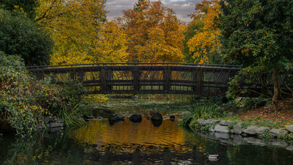 Wooden bridge over a small lake surrounded by trees with orange leaves where fall colors are reflected in the pond waters.as a mallard duck swims by.