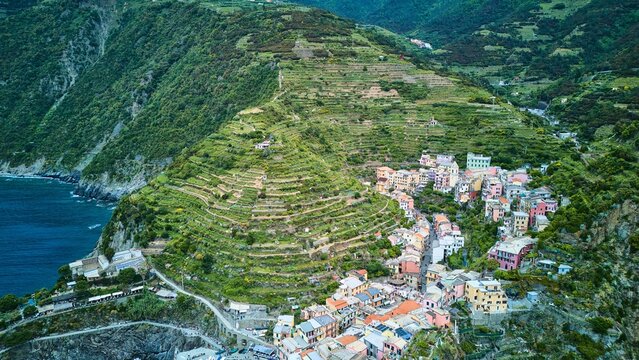 Wide drone aerial of layered vineyard terraces descending toward pastel Manarola and the Tyrrhenian Sea, Cinque Terre National Park, Italy