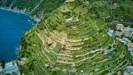 Fotobehang Liguria High-angle drone of iconic cone-shaped terraced vineyard hill rising above sheer cliffs near Manarola, Cinque Terre wine region, Italy  © Cirrus Height