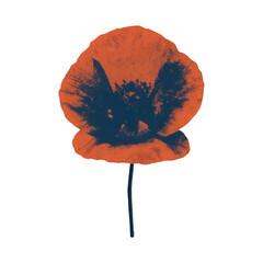 Naklejka premium PNG Vintage orange floral silhouette art.