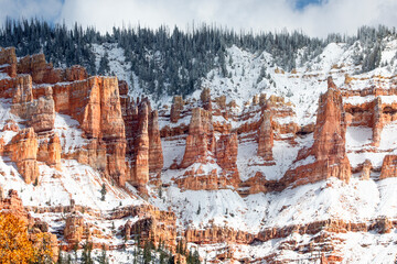Fresh snow has fallen Cedar Breaks National Monument, Utah