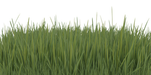 Fototapeta premium Vibrant, lush green grass blades create a fresh, natural border perfect for spring and summer themes