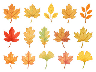 Obraz premium PNG Colorful autumn leaves illustration, element set on transparent background