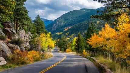 Fototapeta premium beautiful landscape of a road surrounded by yellow and green trees