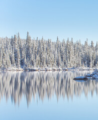 Snow Reflections