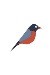 Stylized illustration of a bullfinch bird with red breast and blue wings on a black background