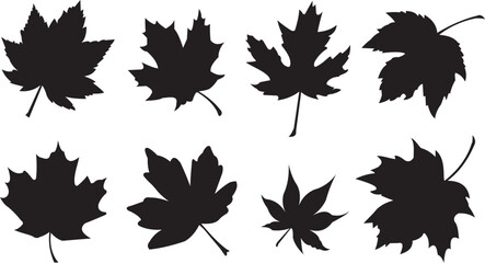 Set of maple leaf silhouettes. Autumn leaves - vector illustration
