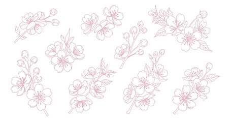 set of floral elements