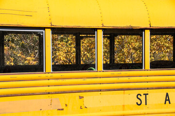 An abstract view of the windows in the side of an abandoned yellow school bus.