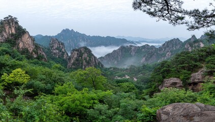 Jagged peaks pierce misty valleys in a lush green mountain landscape.