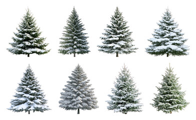 Obraz premium PNG Snow-covered evergreen trees collection, element set on transparent background