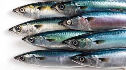 Obraz premium Top view of multiple Atlantic mackerel arranged in parallel, sleek bodies with glossy finish, fully isolated on white background, suitable for fish market promotions or menus