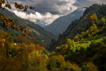 View from a valley in the Black Sea